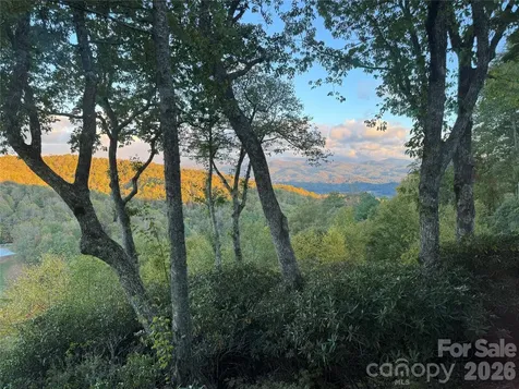 298 Tinequa Drive Brevard NC 28712