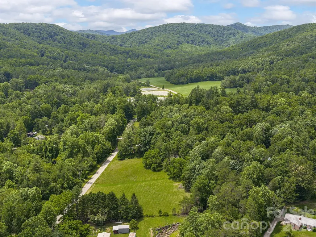 0 Foster Creek Road Horse Shoe NC 28742