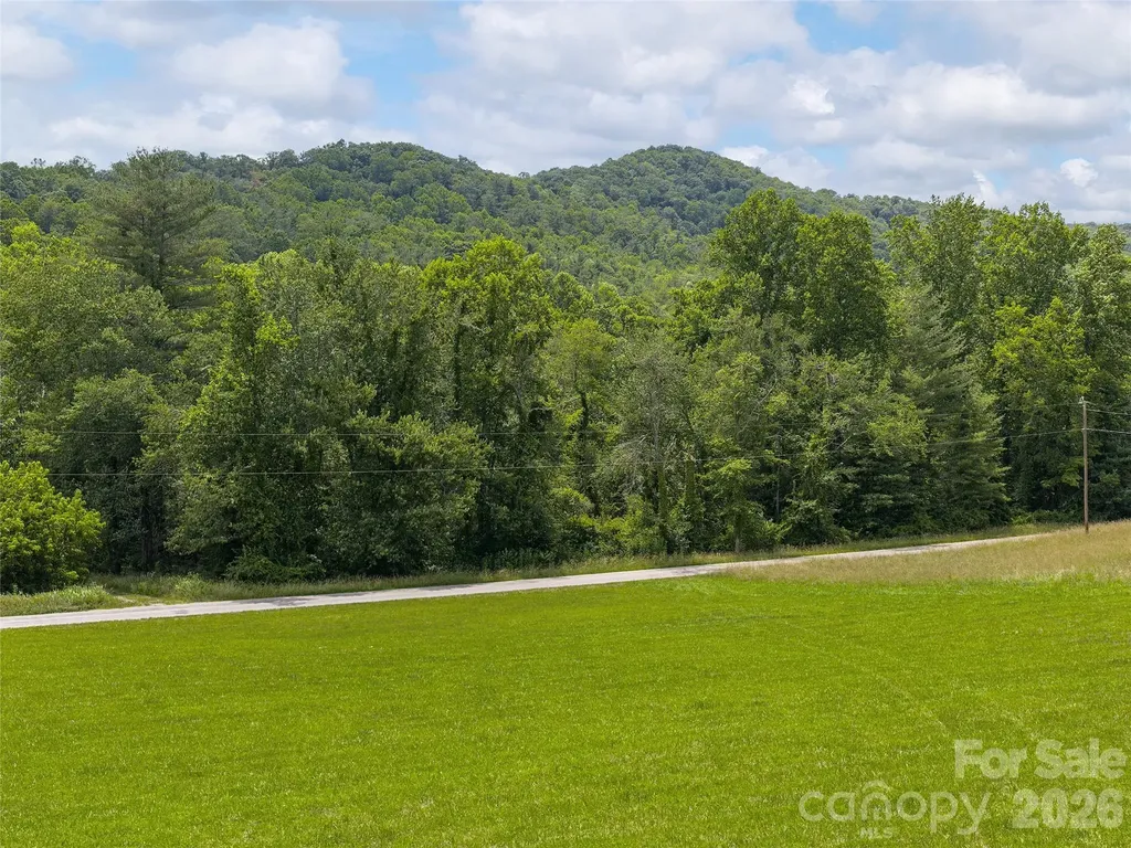 0 Foster Creek Road Horse Shoe NC 28742