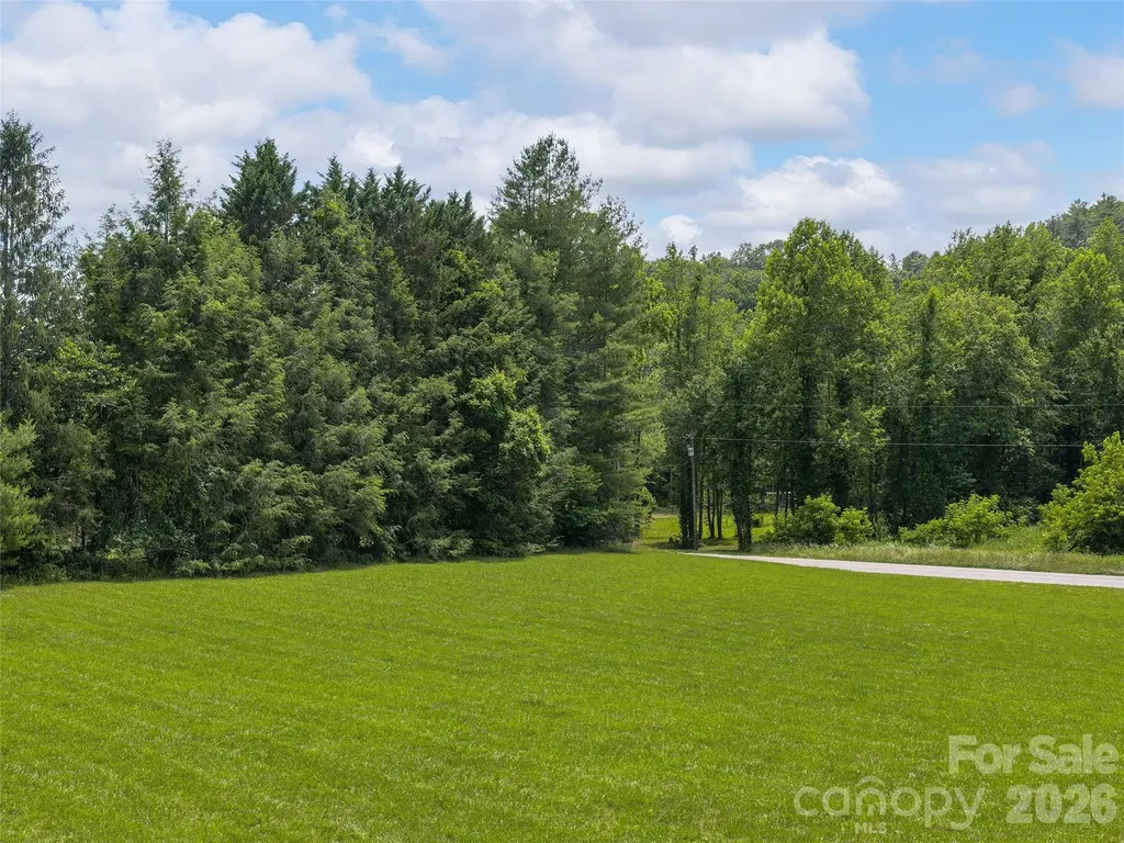0 Foster Creek Road Horse Shoe NC 28742