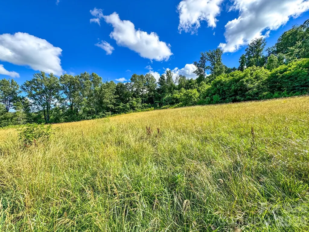 000 Rocky Hill Drive Hendersonville NC 28792
