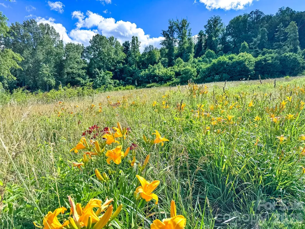 000 Rocky Hill Drive Hendersonville NC 28792