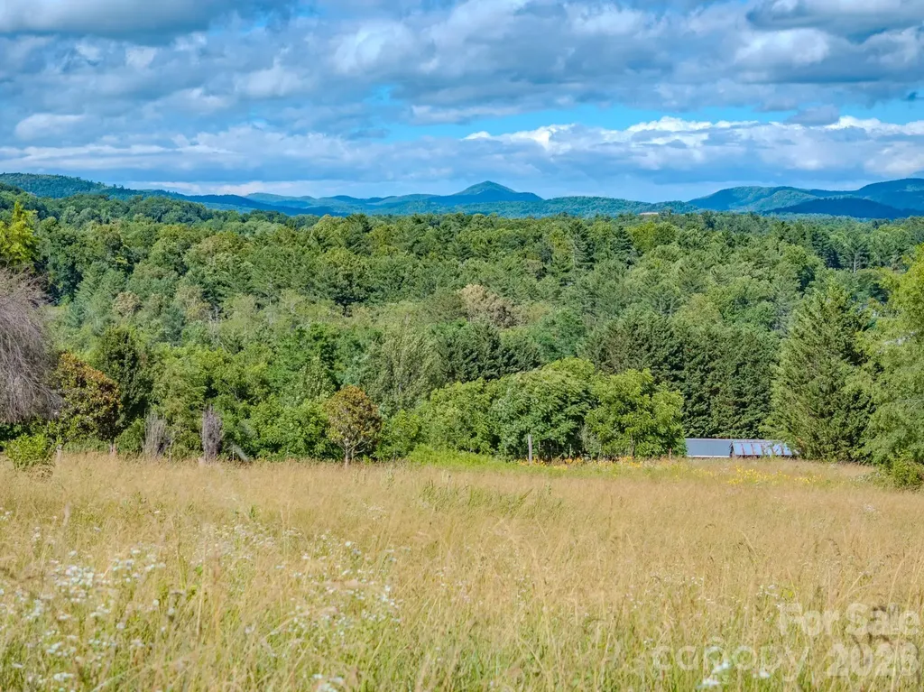 000 Rocky Hill Drive Hendersonville NC 28792