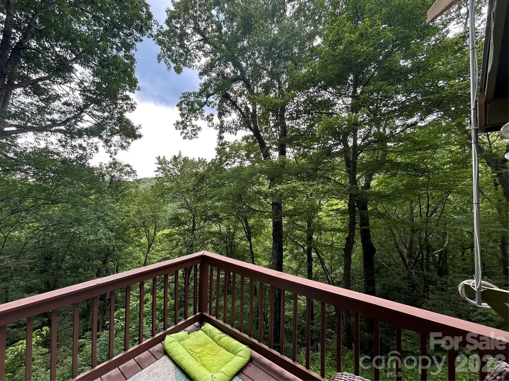 20 Kimberly Road Black Mountain NC 28711