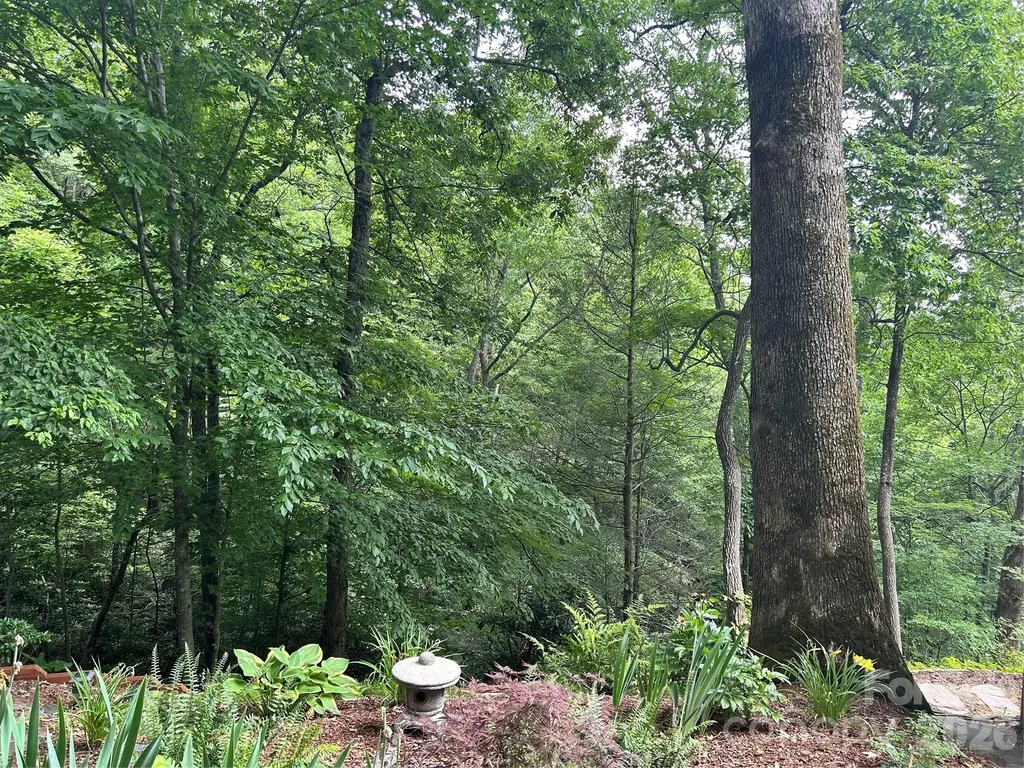 20 Kimberly Road Black Mountain NC 28711