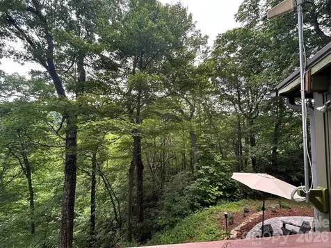 20 Kimberly Road Black Mountain NC 28711
