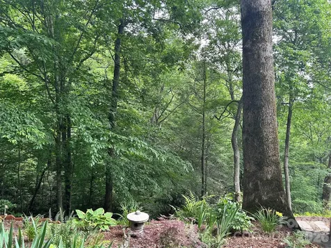 20 Kimberly Road Black Mountain NC 28711