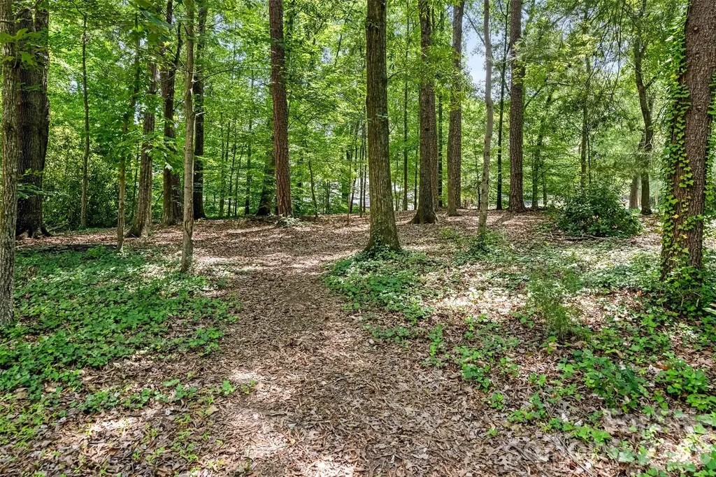 350 Shasta Lane Charlotte NC 28211