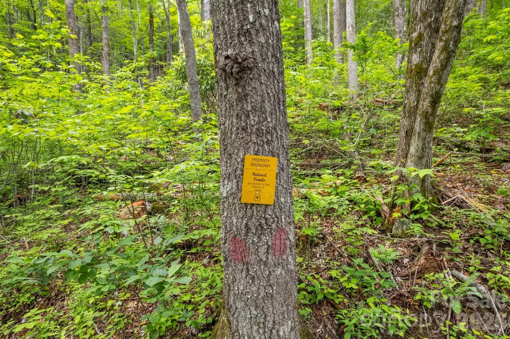 Lt 15b Von Trapp Lane Tuckasegee NC 28783