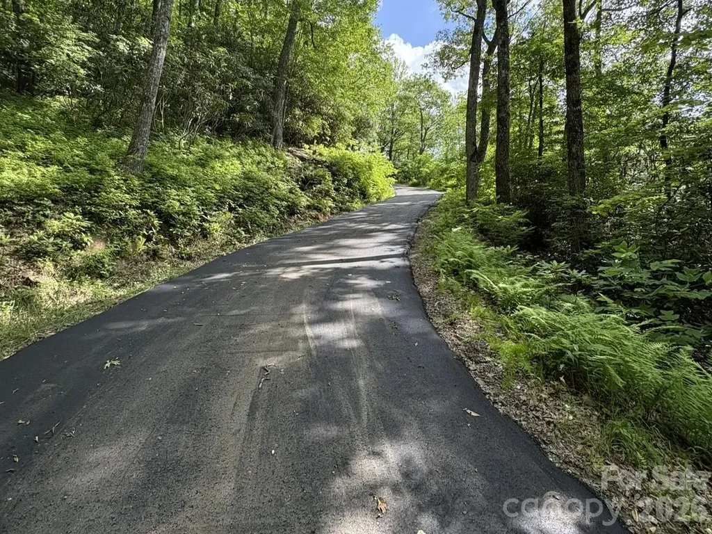 Lt 15b Von Trapp Lane Tuckasegee NC 28783