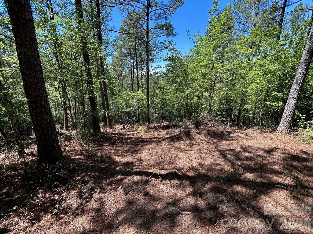 1175 Hidden Cove Lane Connelly Springs NC 28612