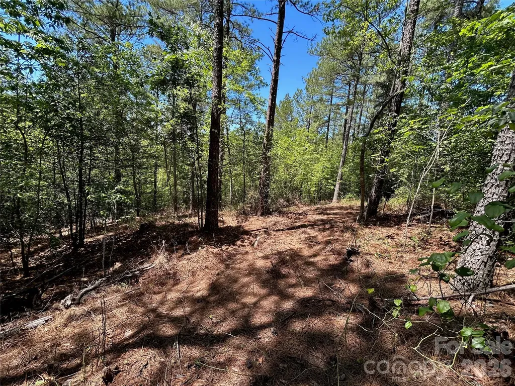 1175 Hidden Cove Lane Connelly Springs NC 28612