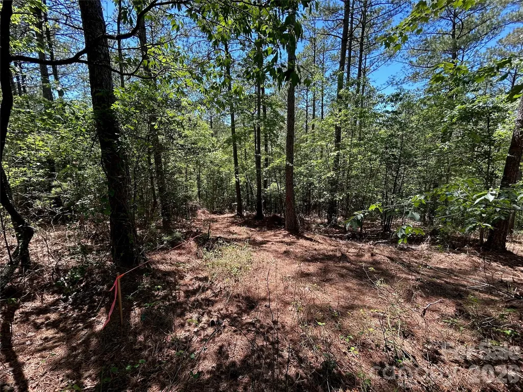 1175 Hidden Cove Lane Connelly Springs NC 28612