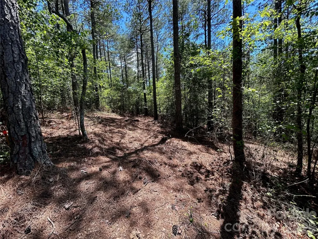 1175 Hidden Cove Lane Connelly Springs NC 28612