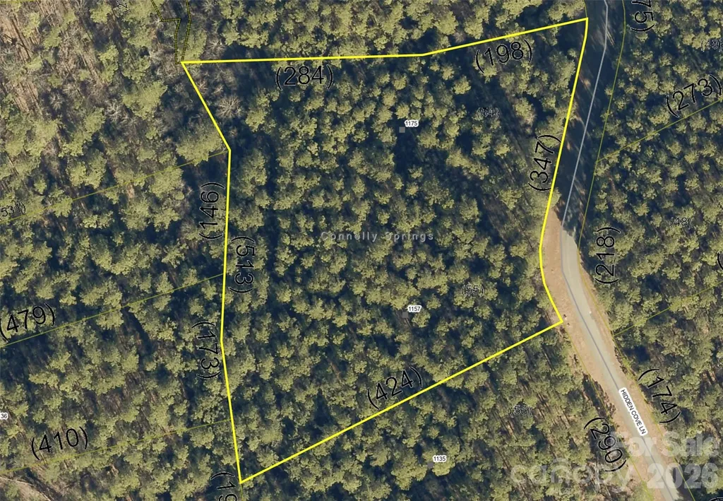 1175 Hidden Cove Lane Connelly Springs NC 28612