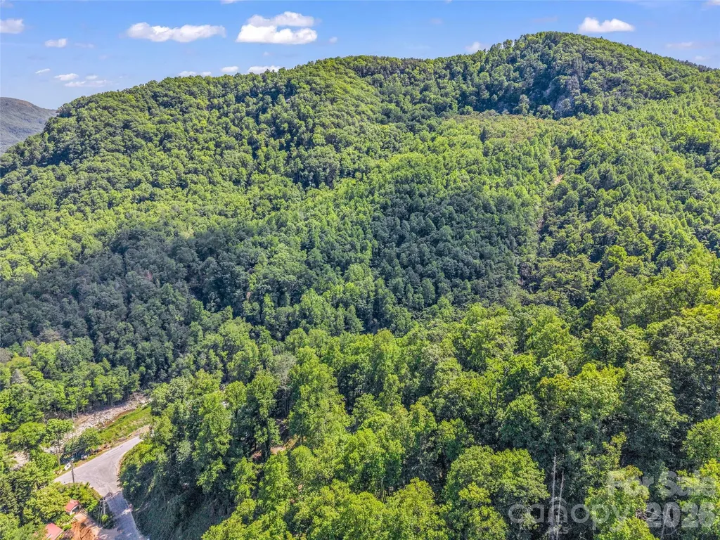 247 Legacy Layne Drive Hendersonville NC 28792