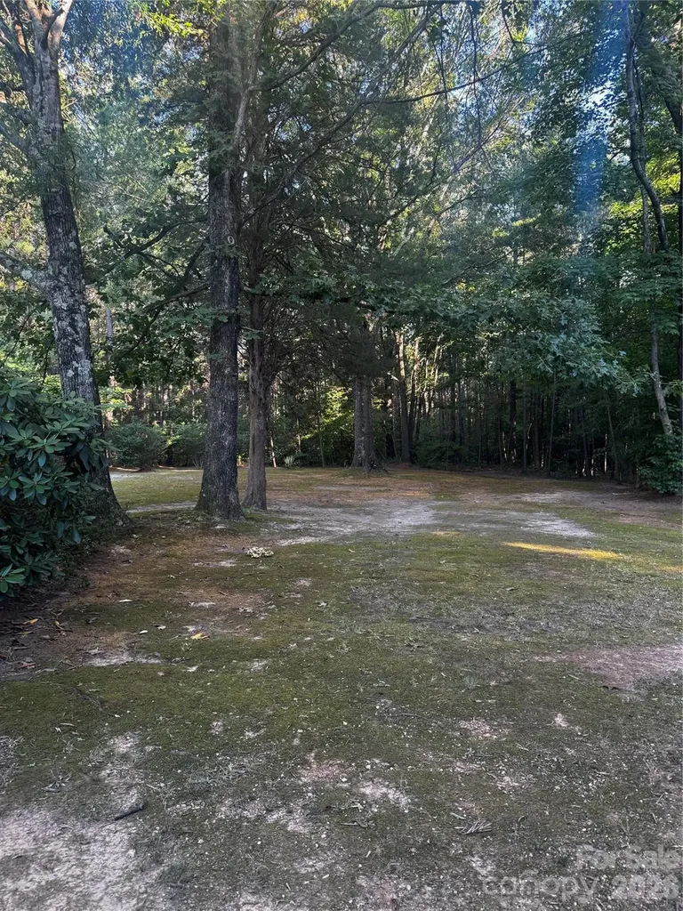 205 Aquila Lane Rockwell NC 28138