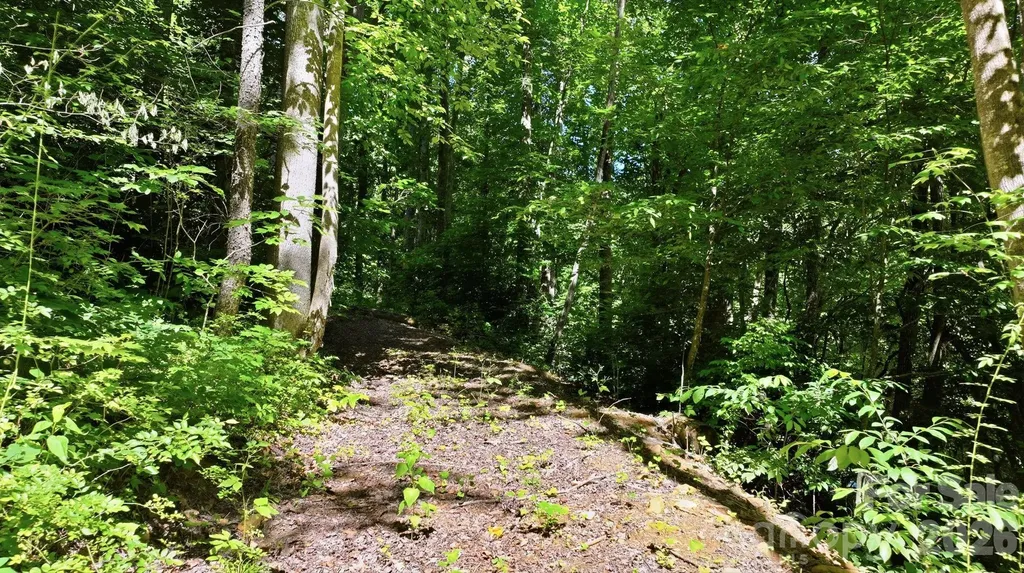 618 Dark Ridge Road Sylva NC 28779