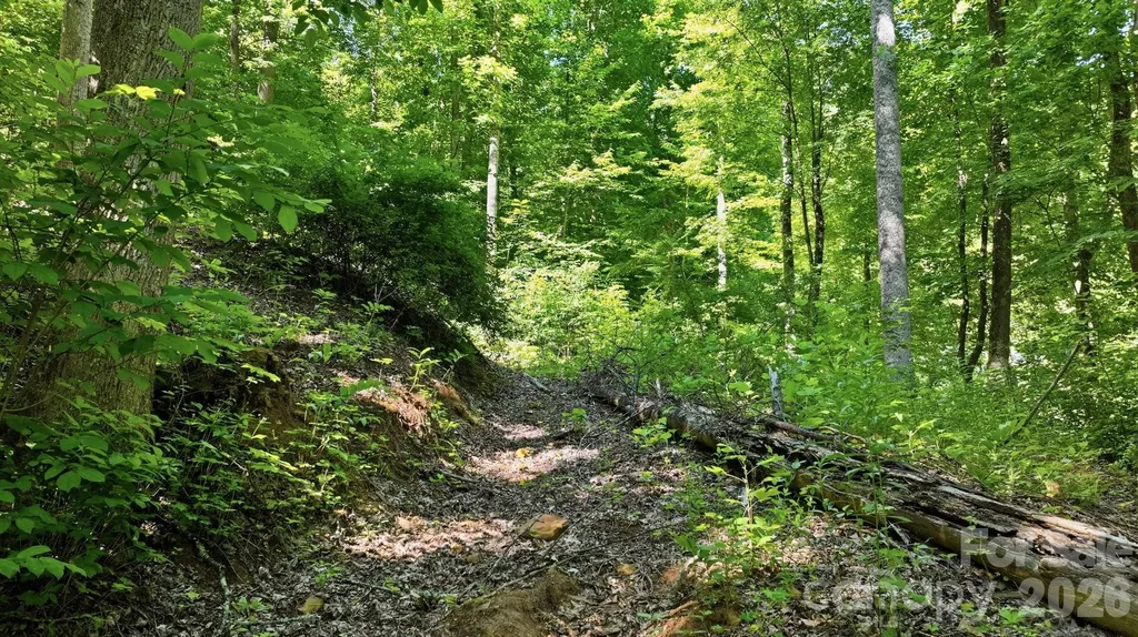 618 Dark Ridge Road Sylva NC 28779