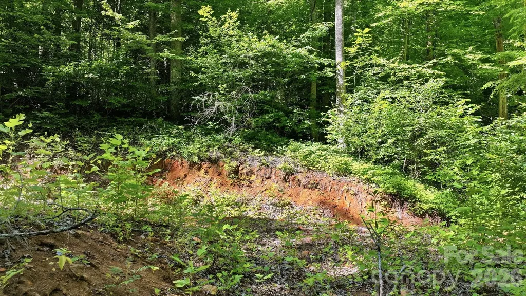 618 Dark Ridge Road Sylva NC 28779
