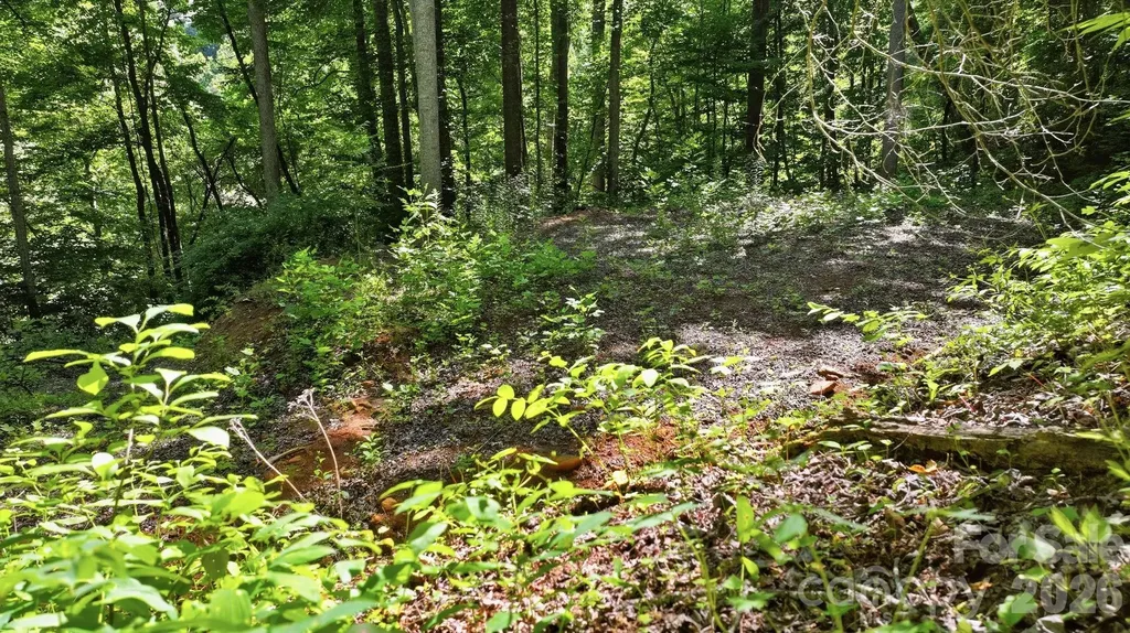 618 Dark Ridge Road Sylva NC 28779