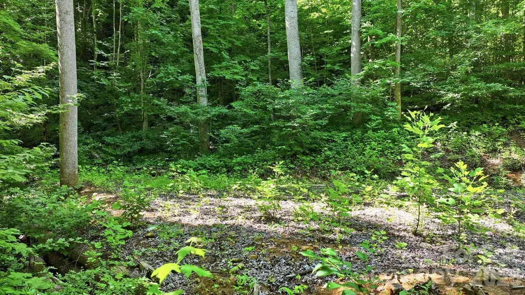 618 Dark Ridge Road Sylva NC 28779