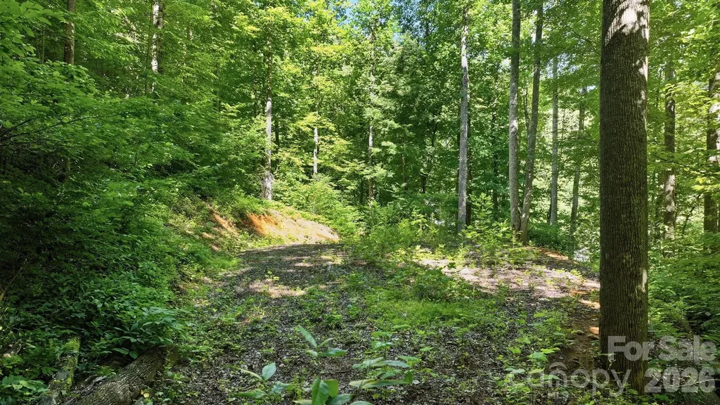 618 Dark Ridge Road Sylva NC 28779