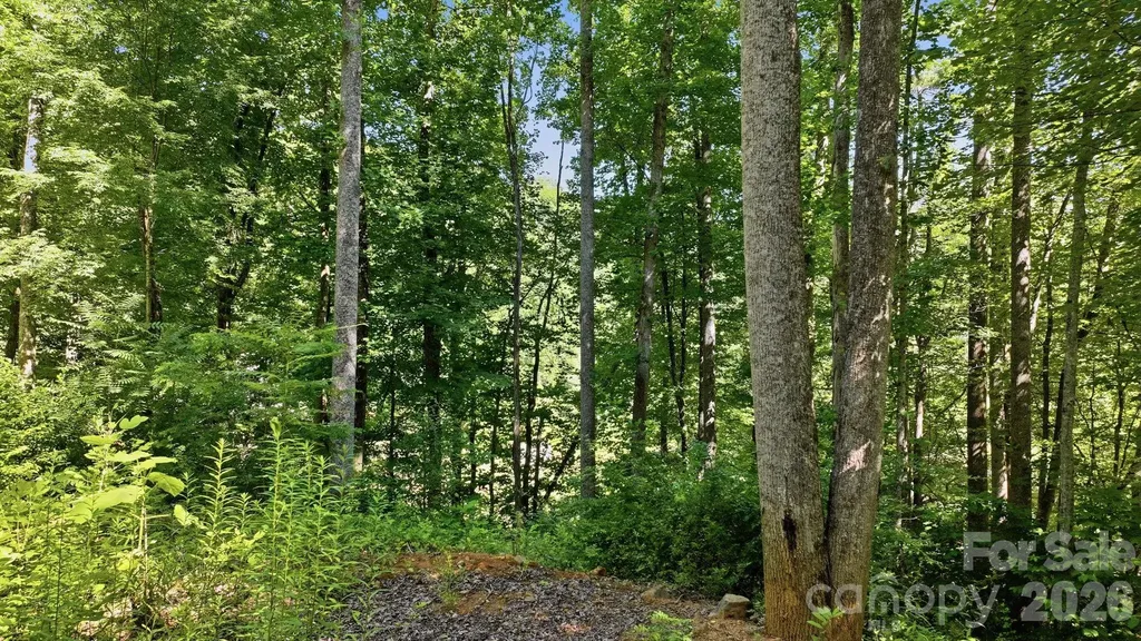 618 Dark Ridge Road Sylva NC 28779