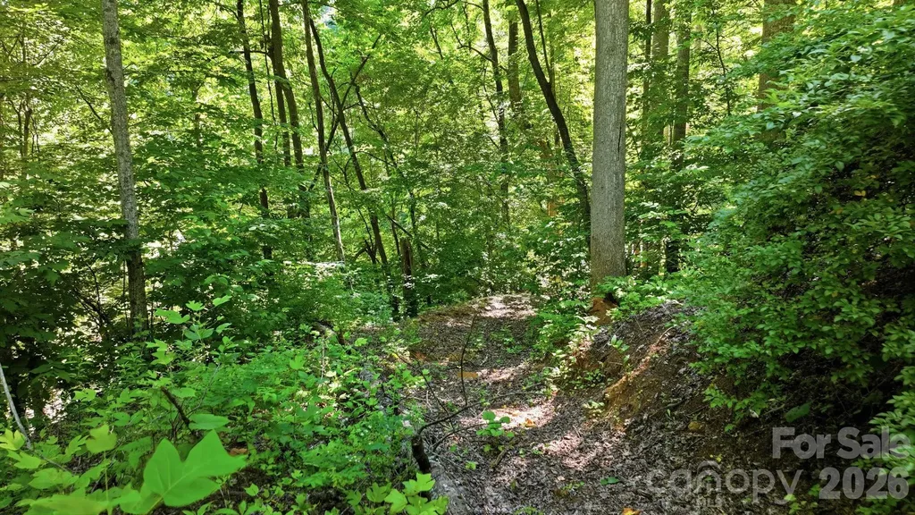 618 Dark Ridge Road Sylva NC 28779