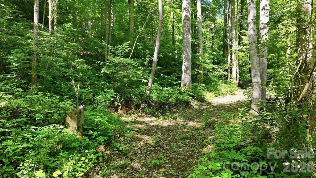 618 Dark Ridge Road Sylva NC 28779
