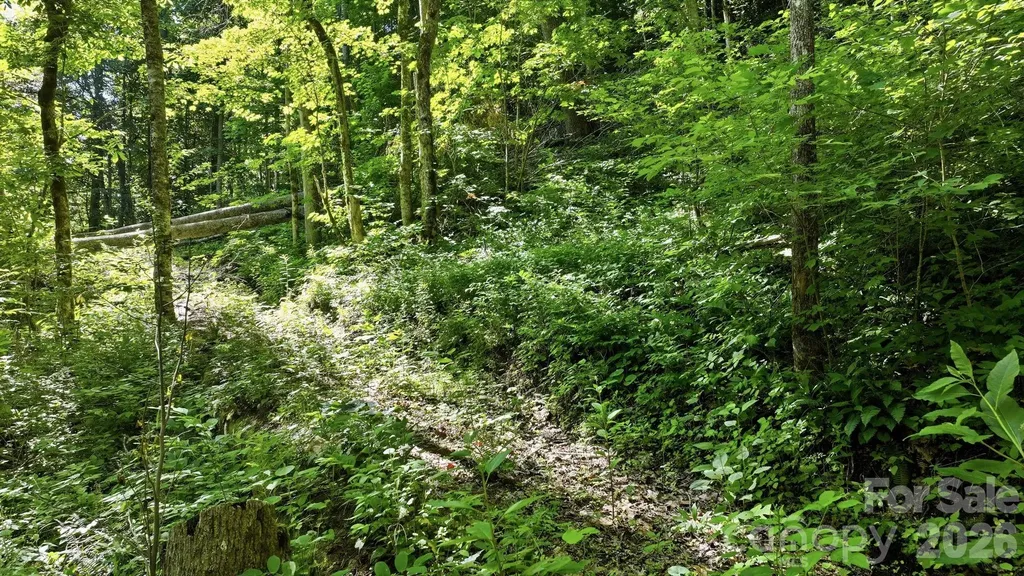 618 Dark Ridge Road Sylva NC 28779