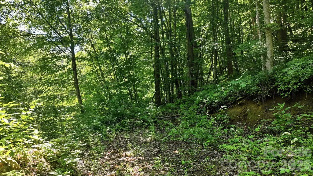 618 Dark Ridge Road Sylva NC 28779