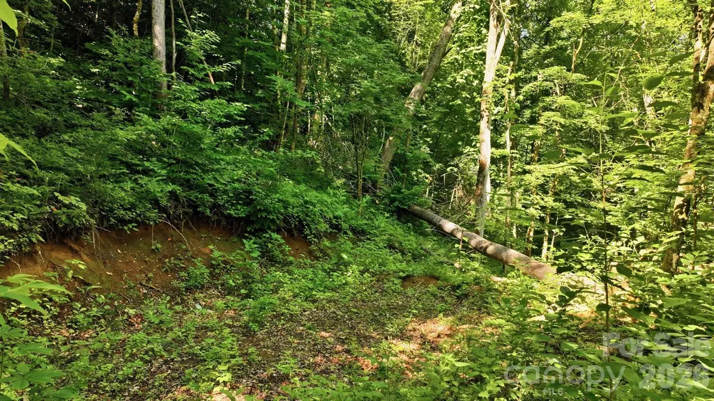 618 Dark Ridge Road Sylva NC 28779