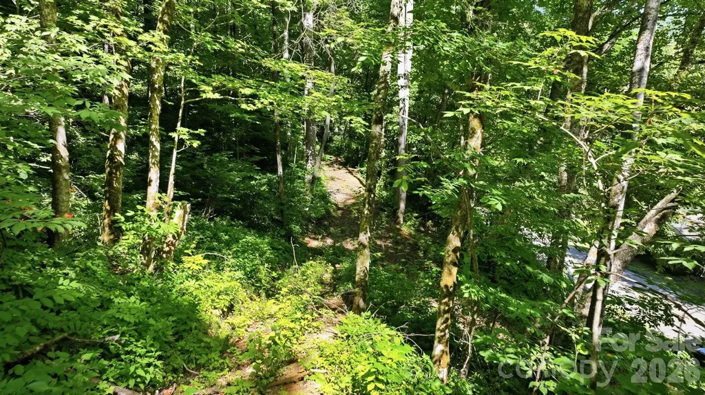 618 Dark Ridge Road Sylva NC 28779