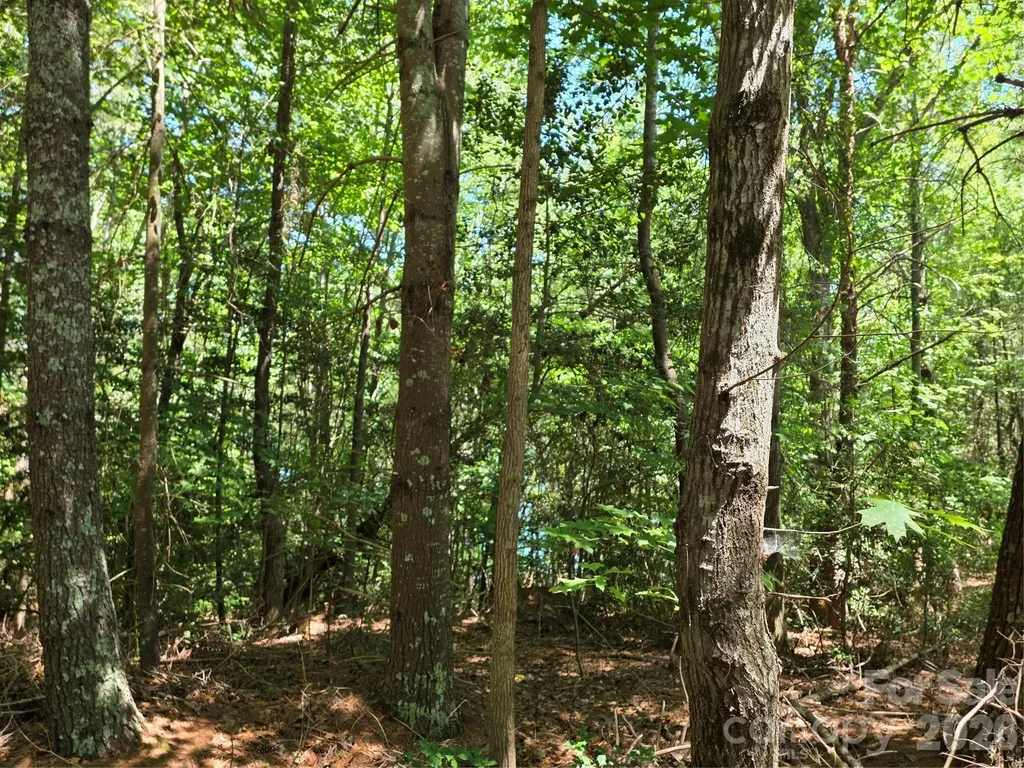 1635 Braxton Gate Drive Morganton NC 28655