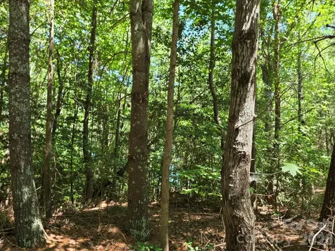 1635 Braxton Gate Drive Morganton NC 28655
