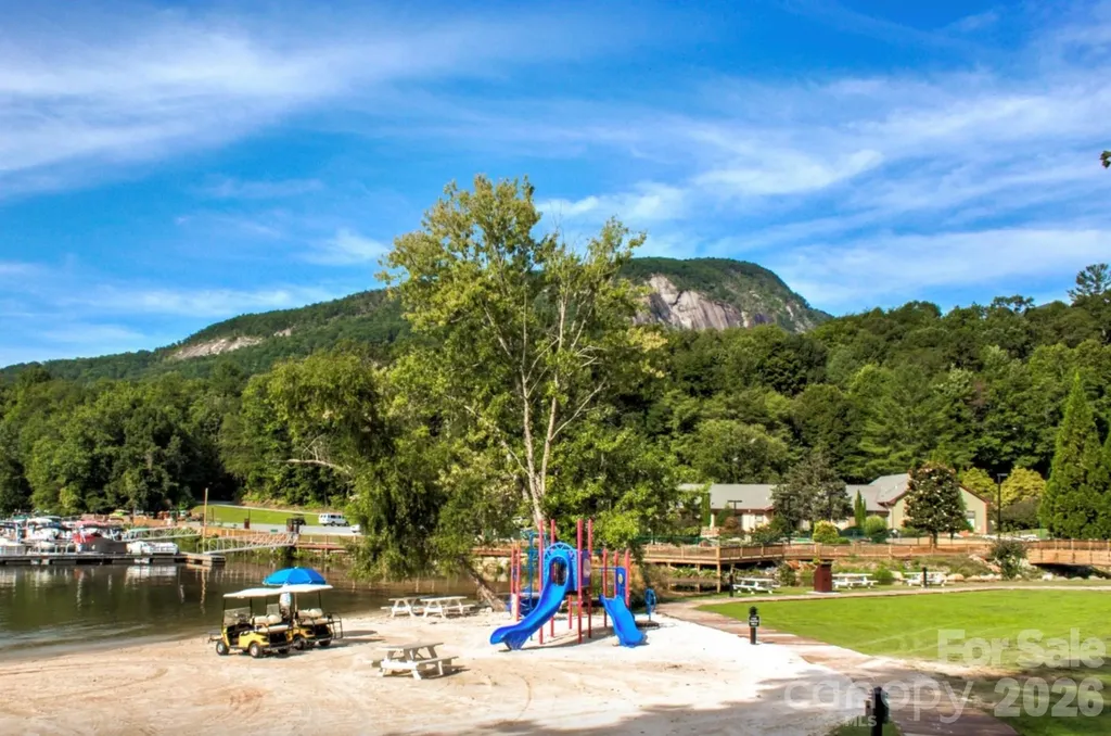 1943 Buffalo Creek Road Lake Lure NC 28746