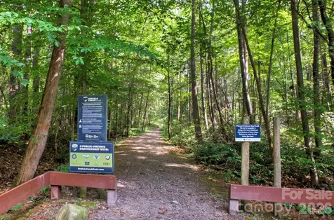1943 Buffalo Creek Road Lake Lure NC 28746