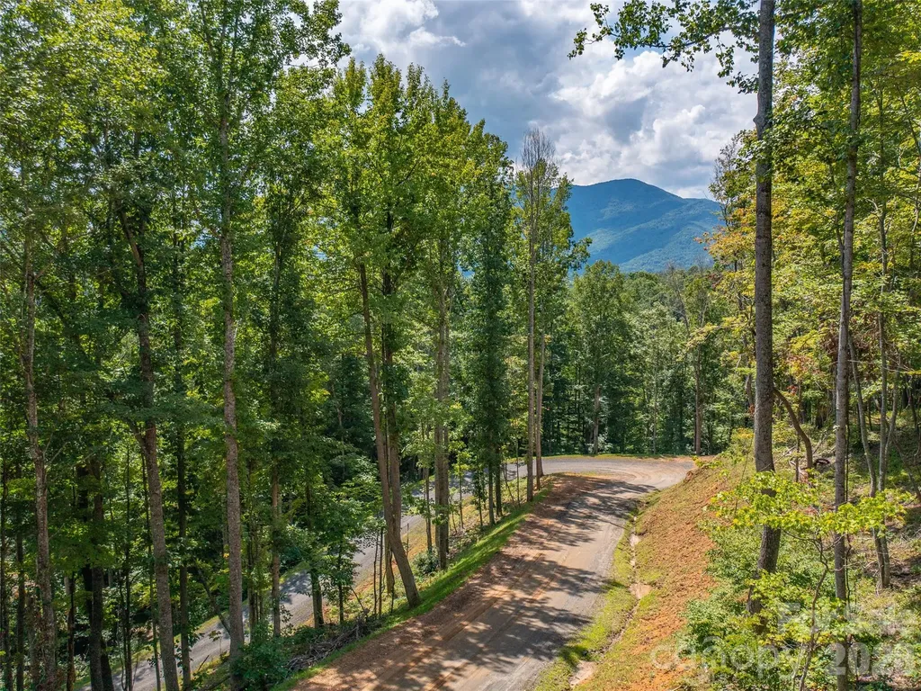 000 Locust Rough Mountain Road Burnsville NC 28714