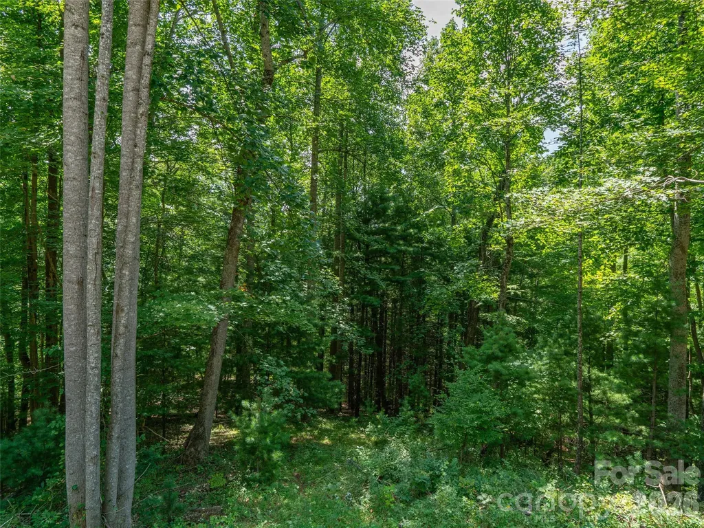 000 Locust Rough Mountain Road Burnsville NC 28714