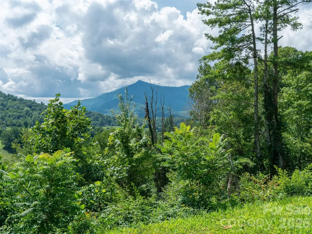 000 Locust Rough Mountain Road Burnsville NC 28714