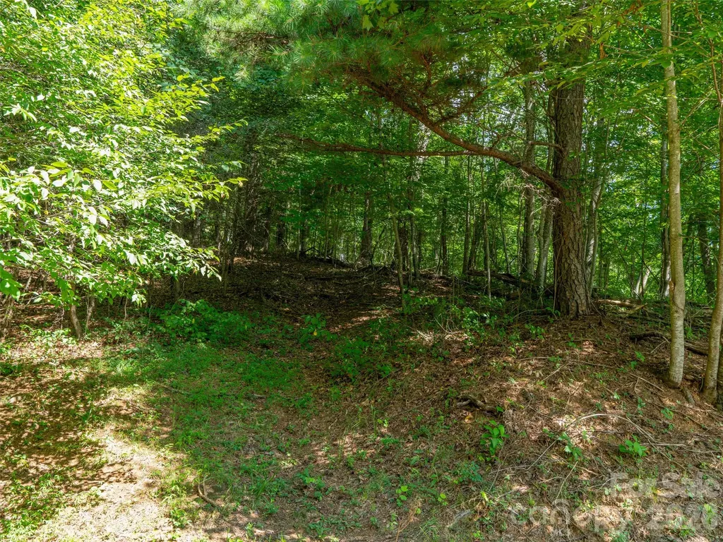 000 Locust Rough Mountain Road Burnsville NC 28714