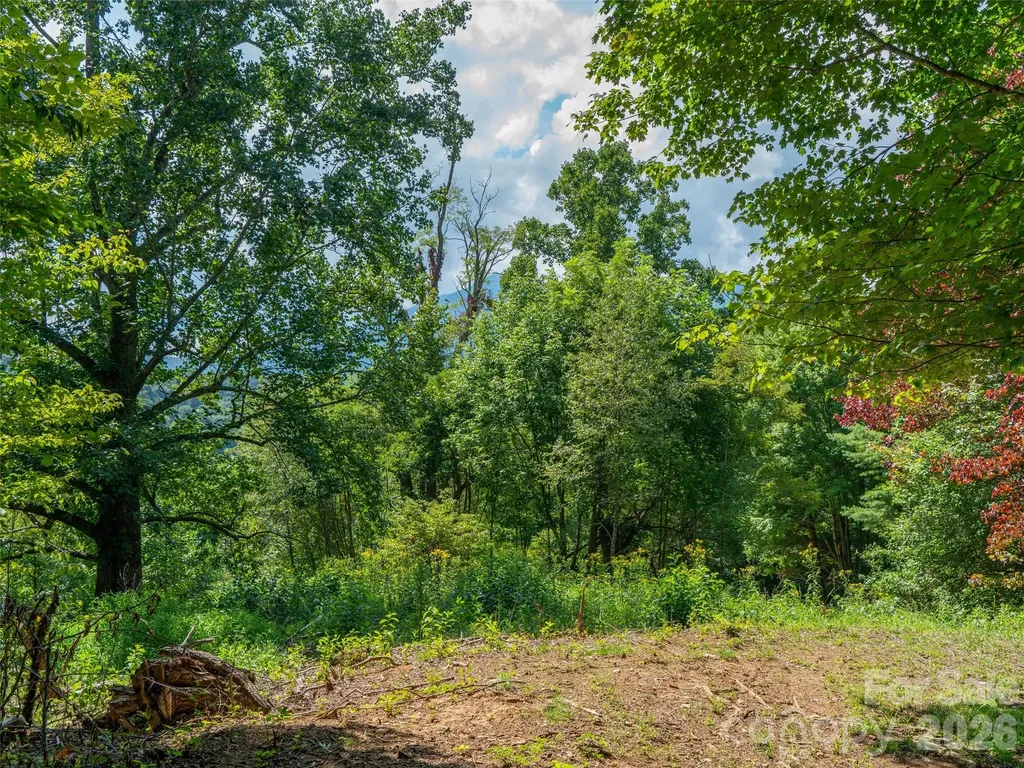 000 Locust Rough Mountain Road Burnsville NC 28714