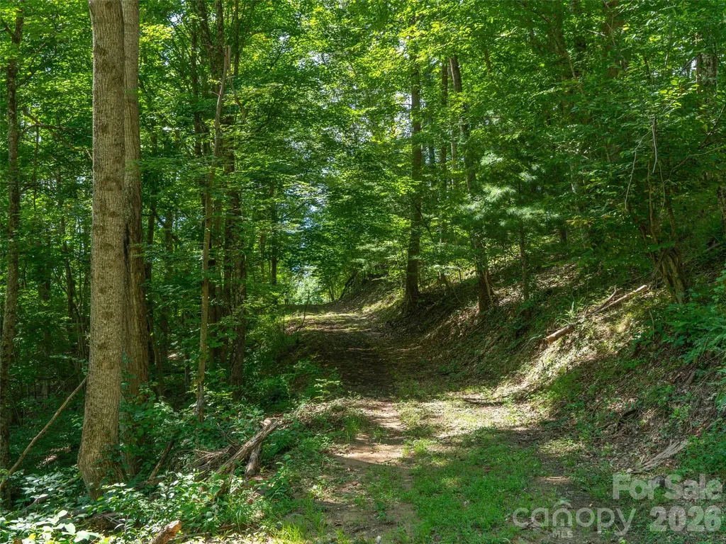 000 Locust Rough Mountain Road Burnsville NC 28714