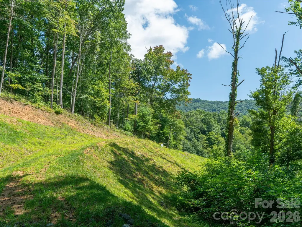 000 Locust Rough Mountain Road Burnsville NC 28714