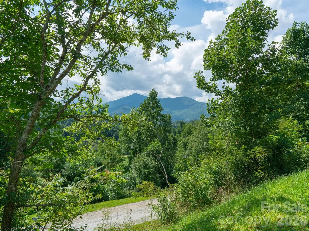 000 Locust Rough Mountain Road Burnsville NC 28714