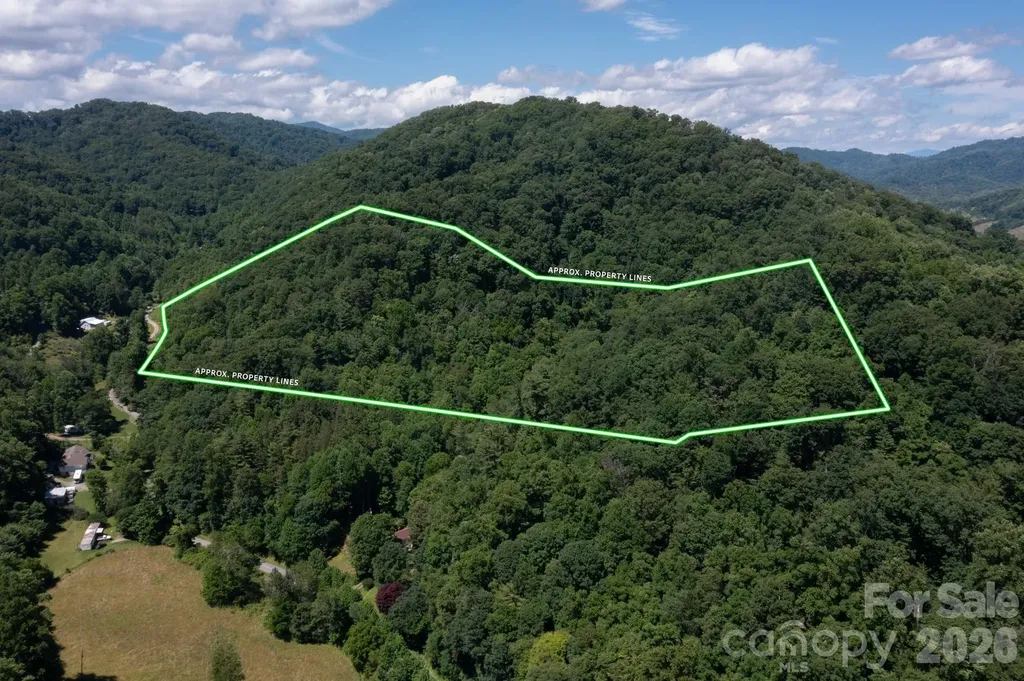 Tbd Wooded Mountain Trail Mars Hill NC 28754
