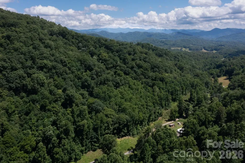 Tbd Wooded Mountain Trail Mars Hill NC 28754