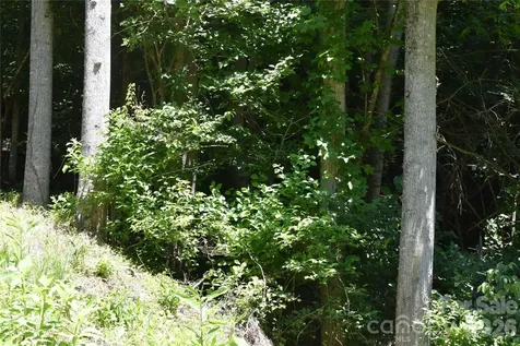 Tbd Wooded Mountain Trail Mars Hill NC 28754
