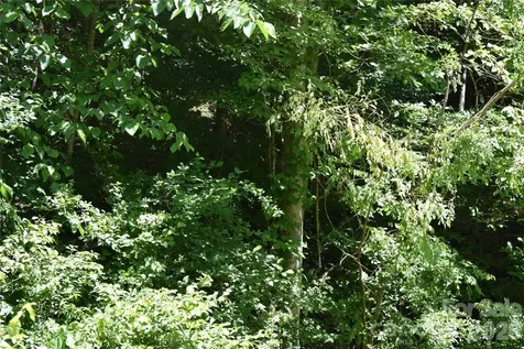 Tbd Wooded Mountain Trail Mars Hill NC 28754